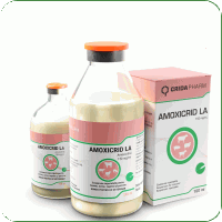 Antibiotice - Amoxicrid L.A.