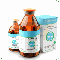 Antibiotice - Marboxil