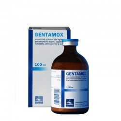 Antibiotice - Gentamox