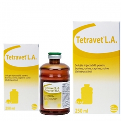 Antibiotice - Tetravet