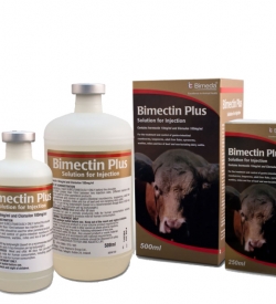 Antiparazitare - Bimectin Plus