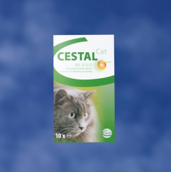 Antiparazitare - Cestal Cat