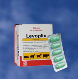 Antiparazitare - Levoplix
