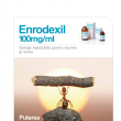 Enrodexil