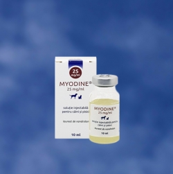 Reproductie - Myodine