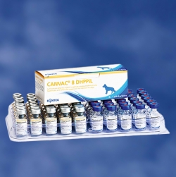Vaccinuri - Canvac 8 DHPPi-L