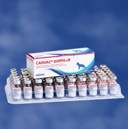 Vaccinuri - Canvac DHPPiL+R
