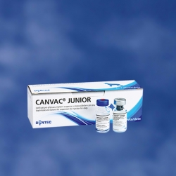Vaccinuri - Canvac Junior