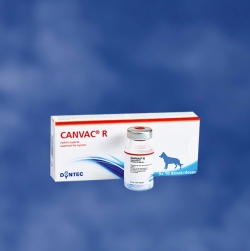Vaccinuri - Canvac R