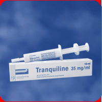 Anestezice - Tranquiline