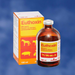 Anestezice - Euthoxin 500 mg/ml