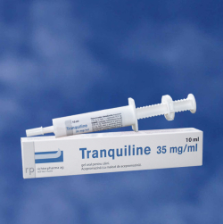 Anestezice - Tranquiline