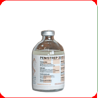Antibiotice - Pen/Strep 20/20