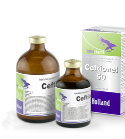 Antibiotice - Ceftionel 50
