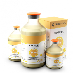 Antibiotice - Ceftisol