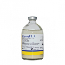 Antibiotice - Clamoxyl L.A.