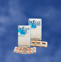 Antibiotice - ICF vet 500 / ICF vet 1000
