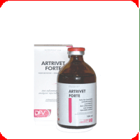 Antiinflamatorii - Artrivet Forte