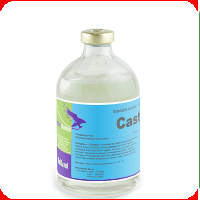 Antiinflamatorii - Castralgin