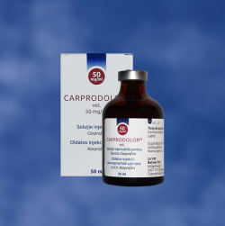 Antiinflamatorii - Carprodolor