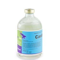 Antiinflamatorii - Castralgin