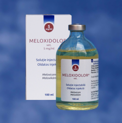 Antiinflamatorii - Meloxidolor 5%