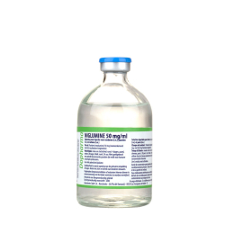 Antiinflamatorii - Niglumine