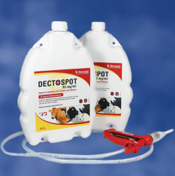 Antiparazitare - Dectospot