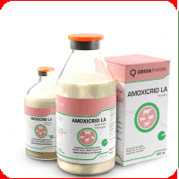  - Amoxicrid L.A.