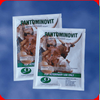  - Pantominovit