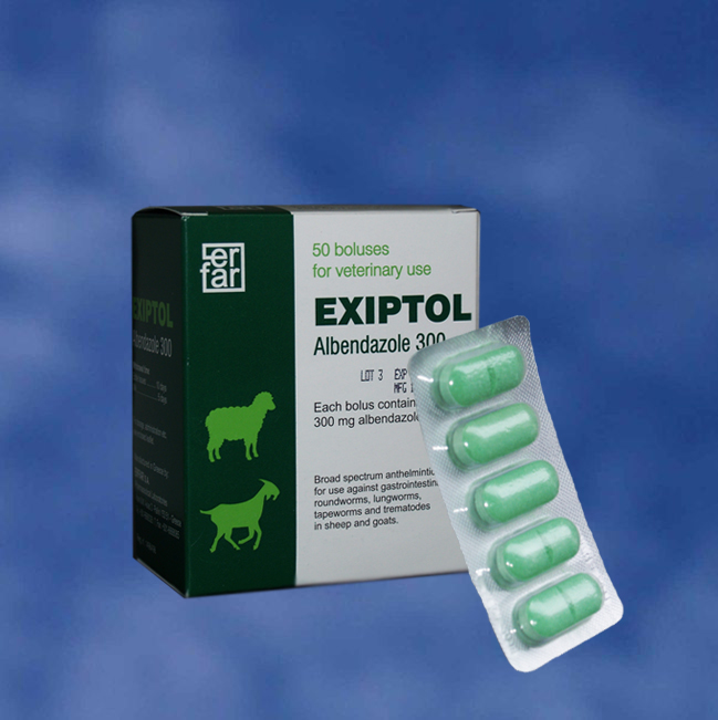 Dirofen (suspensie): medicament antihelmintic pentru animale