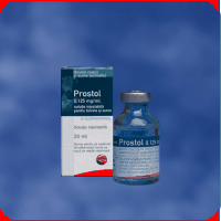 Reproductie - Prostol