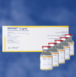 Reproductie - Indupart