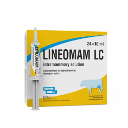 Reproductie - Lineomam