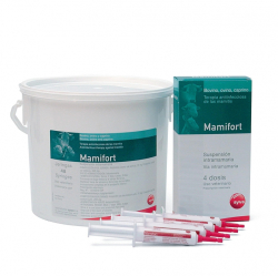 Reproductie - Mamifort