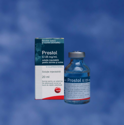 Reproductie - Prostol
