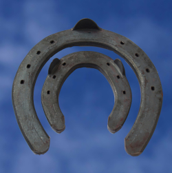 Specialitati pentru cabaline - Potcoave Mustad