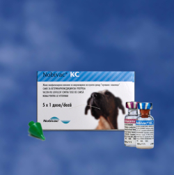 Vaccinuri - Nobivac KC