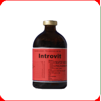 Vitamine, minerale - Introvit