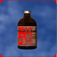 Vitamine, minerale - Introvit E Se