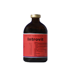 Vitamine, minerale - Introvit