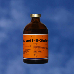 Vitamine, minerale - Introvit E Se