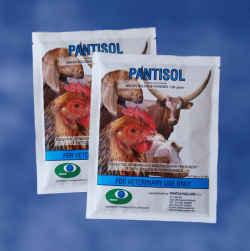 Vitamine, minerale - Pantisol