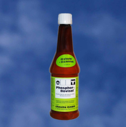 Vitamine, minerale - Phosphor Bovisal